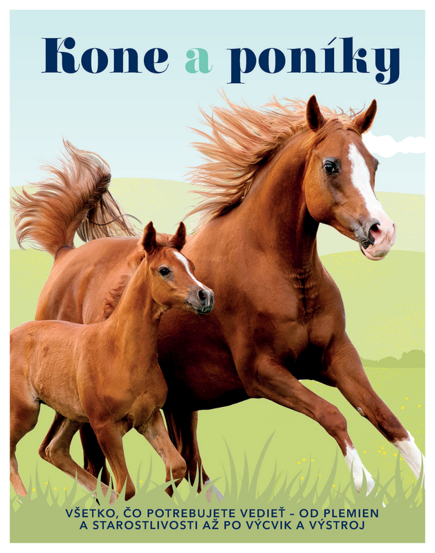 Kone a poníky - kolektív autorov