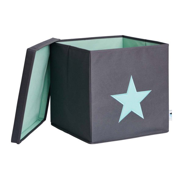 LOVE IT STORE IT - Box na hračky s krytom - šedý, zelená hviezda