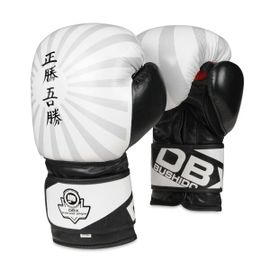 BUSHIDO - Boxerské rukavice DBX B-2v8, 12oz