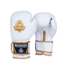 BUSHIDO - Boxerské rukavice DBX DBD-B-2, 10 z.