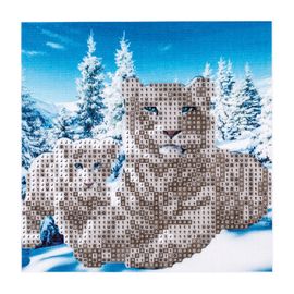 CENTRUM LITVA - Diamantová mozaika 5D Biely tiger (20x20 cm)