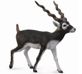 COLLECTA - Antilopa jelenia