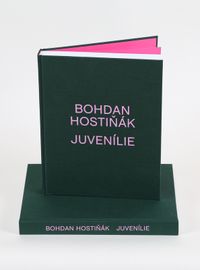 Juvenílie (B. Hostiňák) - Bohdan Hostiňák