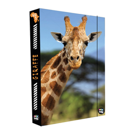 KARTON PP - Box na zošity A4 Jumbo Žirafa