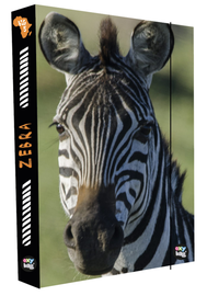 KARTON PP - Box na zošity A4 Zebra