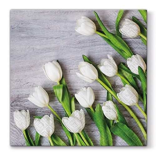 PAW - Obrúsky L 33X33cm White Tulips