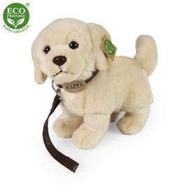 RAPPA - Plyšový pes zlatý retriever stojaci s vodítkom 25 cm ECO-FRIENDLY