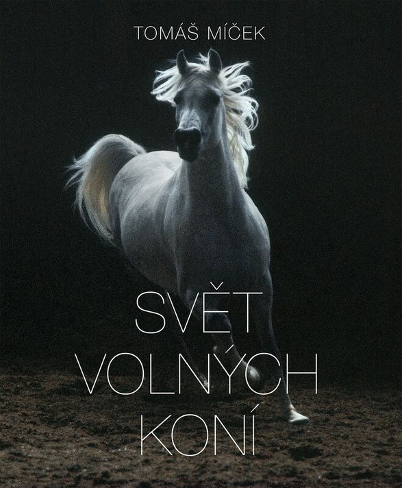 Svět volných koní - Tomáš Míček, Hans Torwesten