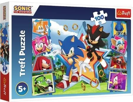 TREFL -  Puzzle 100 dielikov - Zoznámte sa so Sonicom / SEGA Sonic The Headgehog