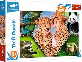 TREFL - Puzzle 100 - Krása prírody / Discovery Animal Planet