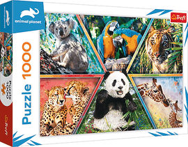 TREFL - Puzzle 1000 - Kráľovstvo zvierat