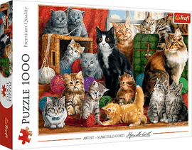 TREFL - Puzzle 1000 - Stretnutie mačiek