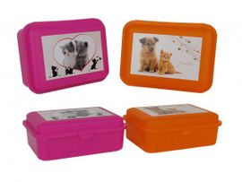 TVAR - Box desiatový farebný mačka a pes, Mix farieb